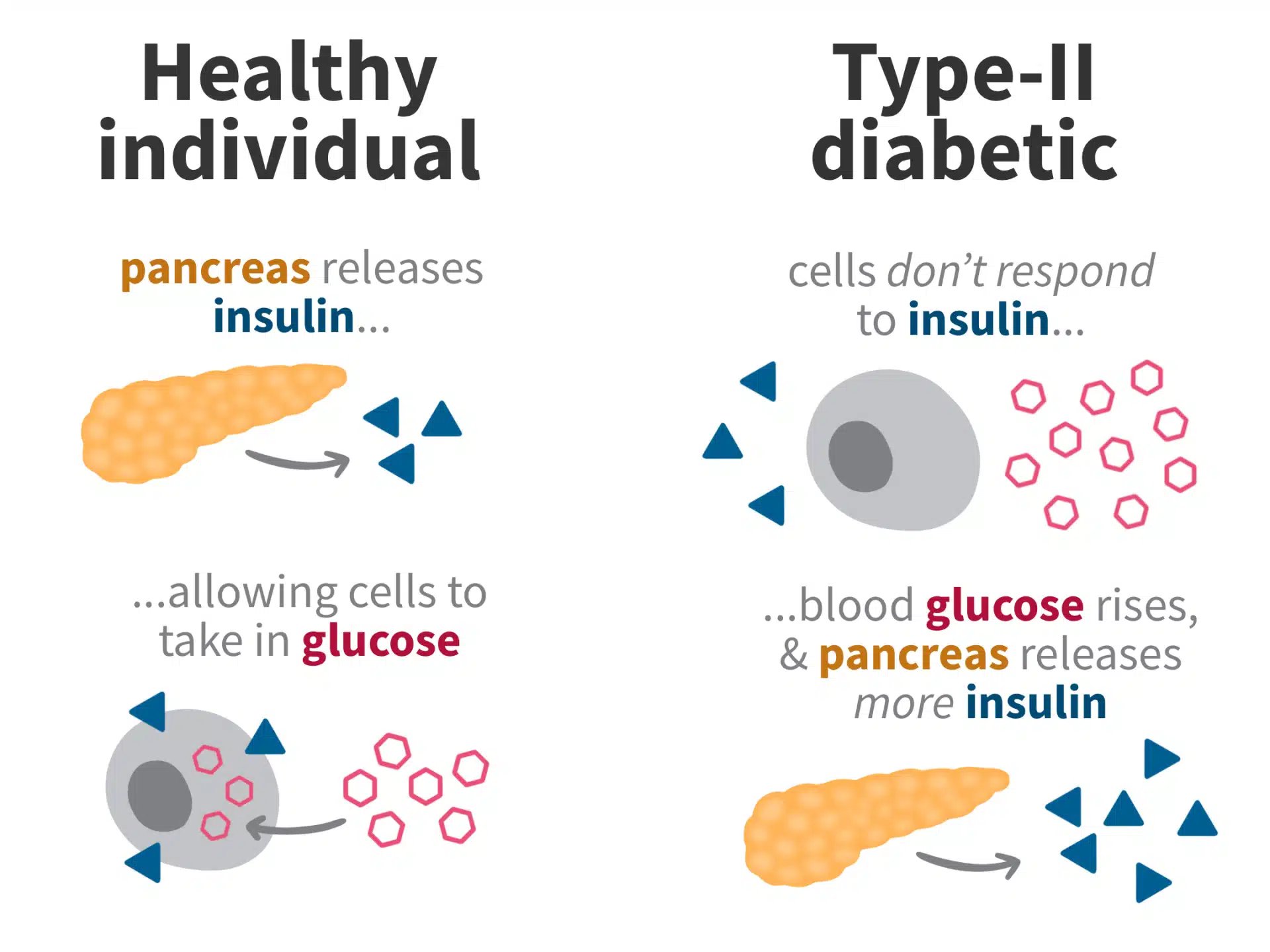 diabetes and obesity
