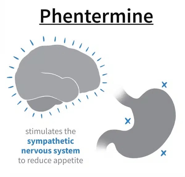 How Phentermine weight loss drug affects the brain