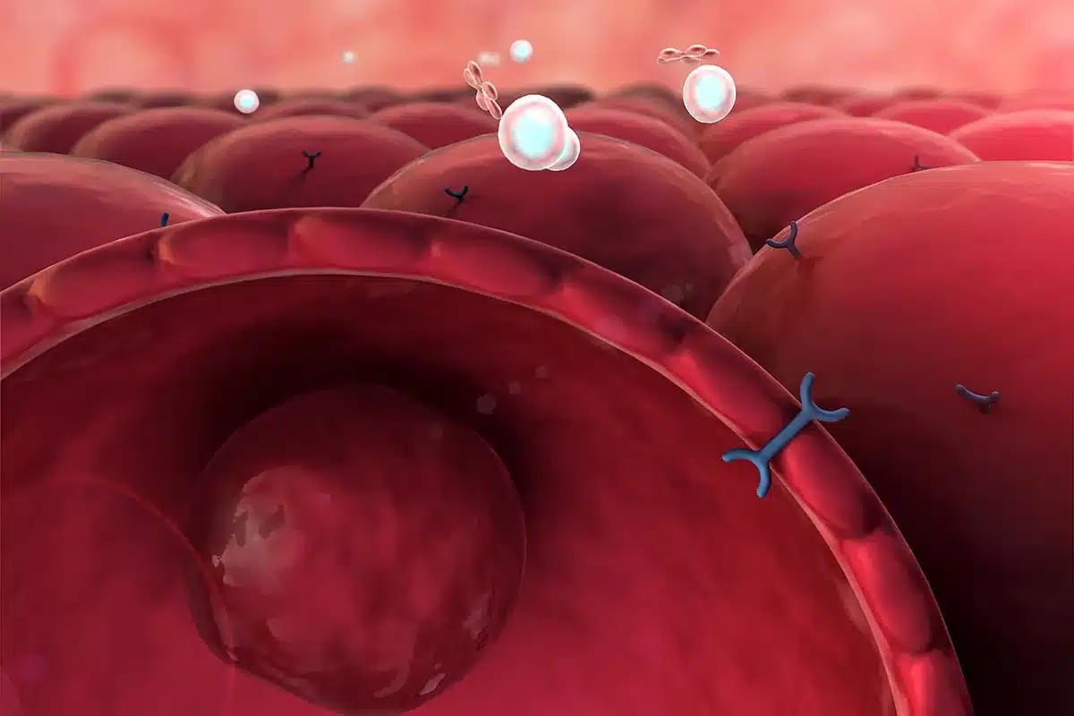 Microscopic view of cells and molecules.