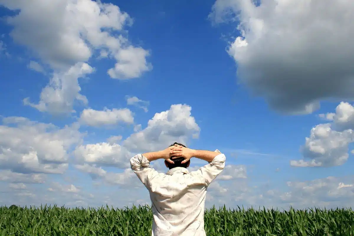 Man relaxing in a cornfield, hands behind head.